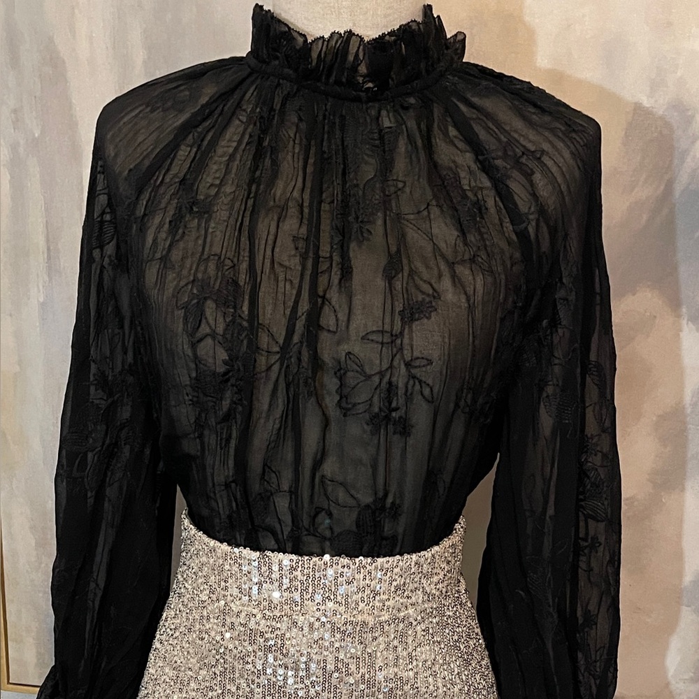 💫 Zara Embroidery Pleated Top - New 💫 - Picture 7 of 14